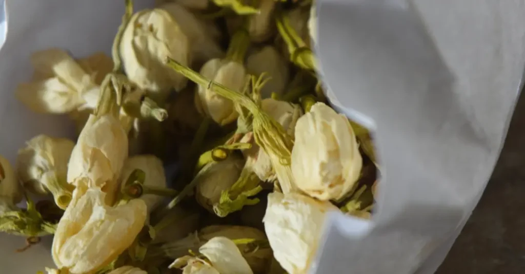 Jasmine Flower Preservation