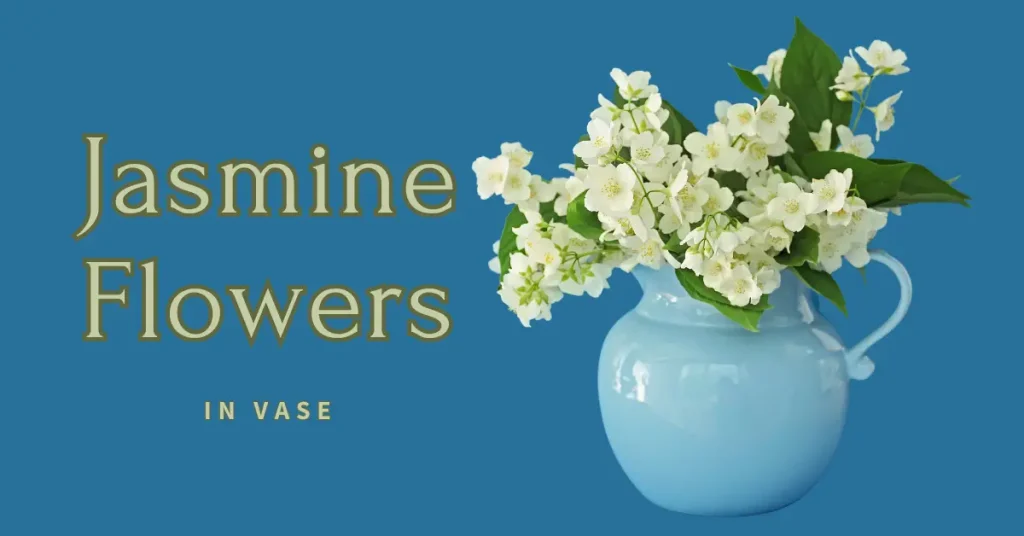 Jasmine Flower preservation in vase