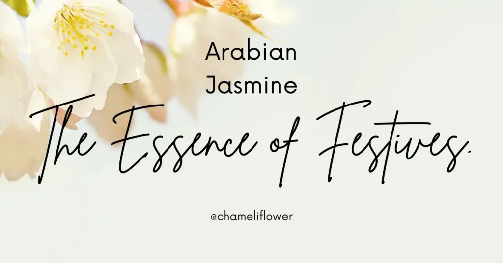 arabian jasmine quote