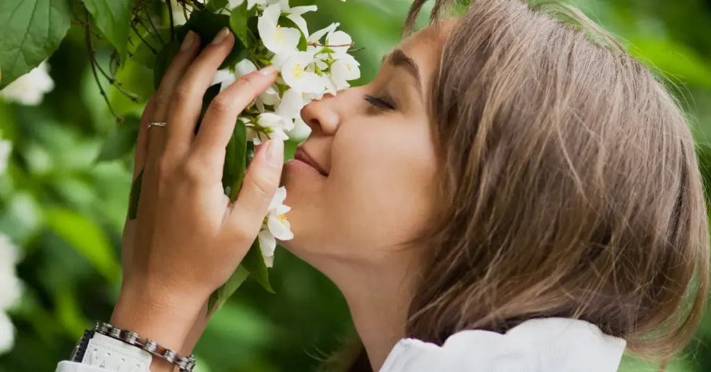 is star jasmine poisonous to humans