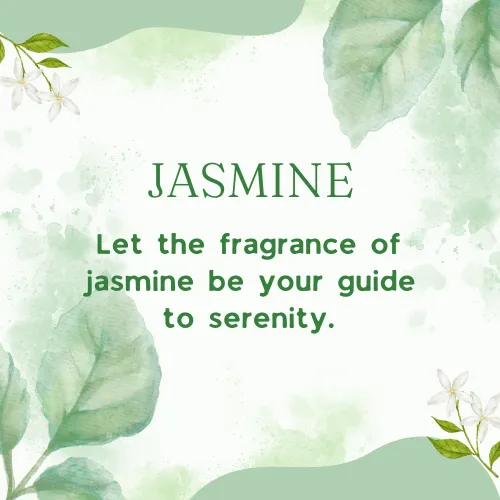 jasmine flower quotes