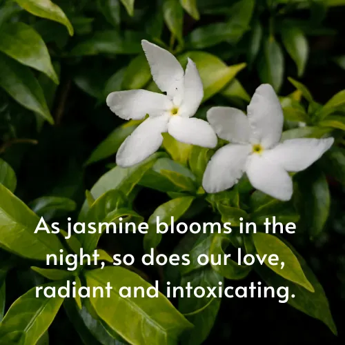 jasmine flower quotes