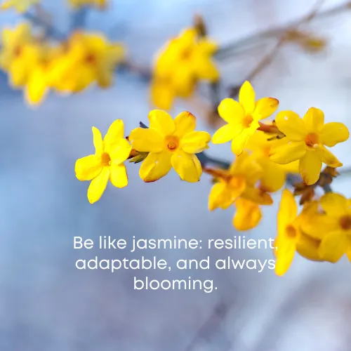 jasmine flower quotes