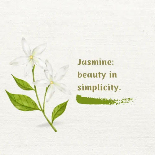 jasmine flower quotes