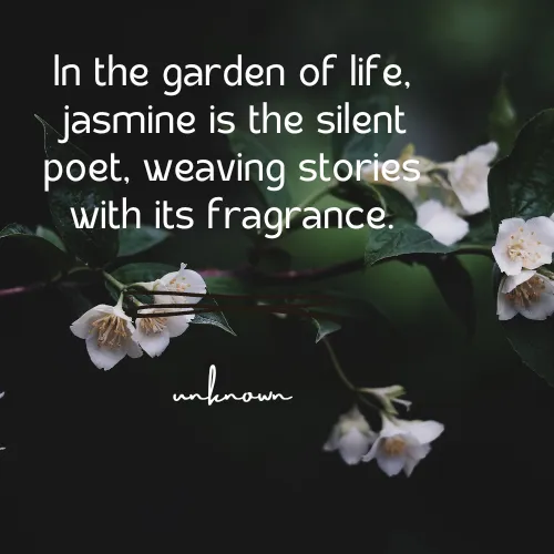 jasmine flower quotes