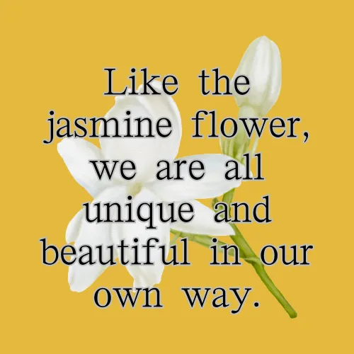 jasmine flower quotes and captions