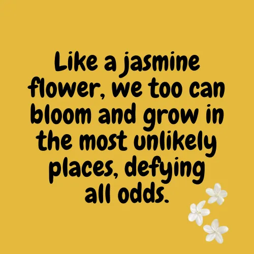 jasmine flower quotes