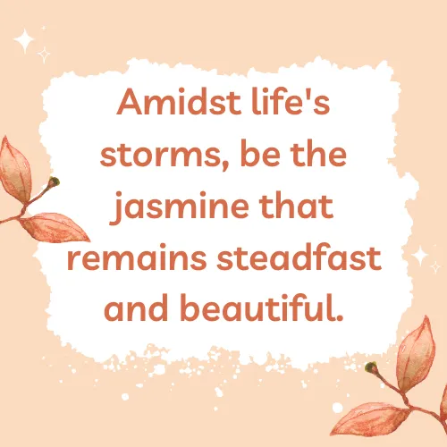jasmine flowers quote