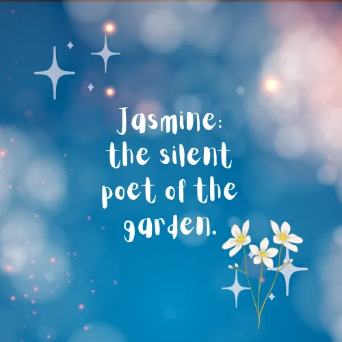 jasmine flowers quotes and sayings