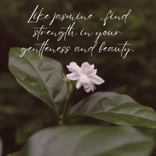 jasmine flower quotes