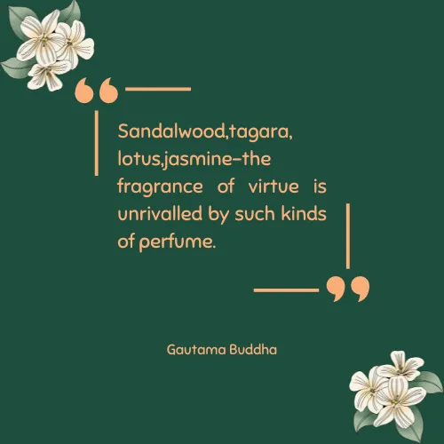 quotes jasmine flowers