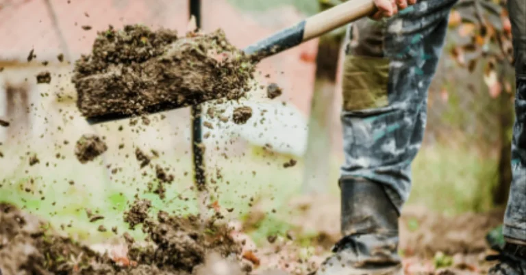 How To Amend Clay Soil: Reasons of Clay Soil & Amendment