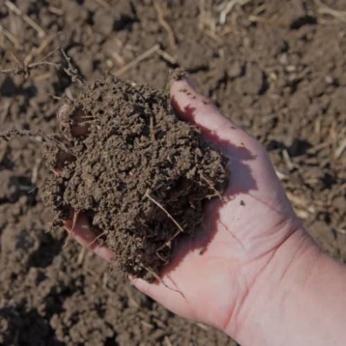 how to amend heavy clay soil