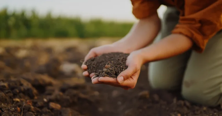 image soil types