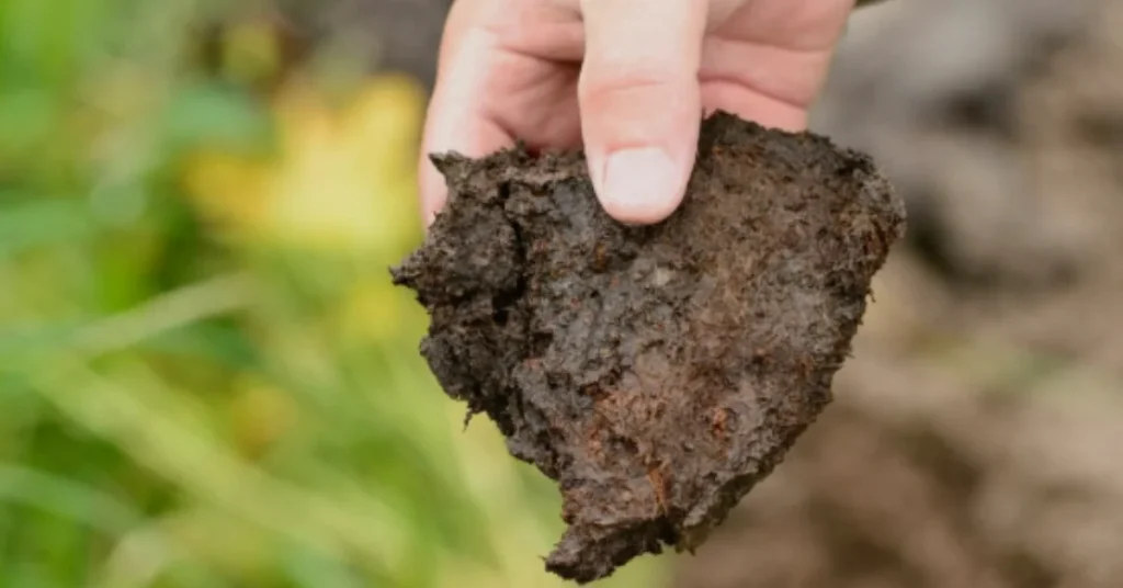 soil types image