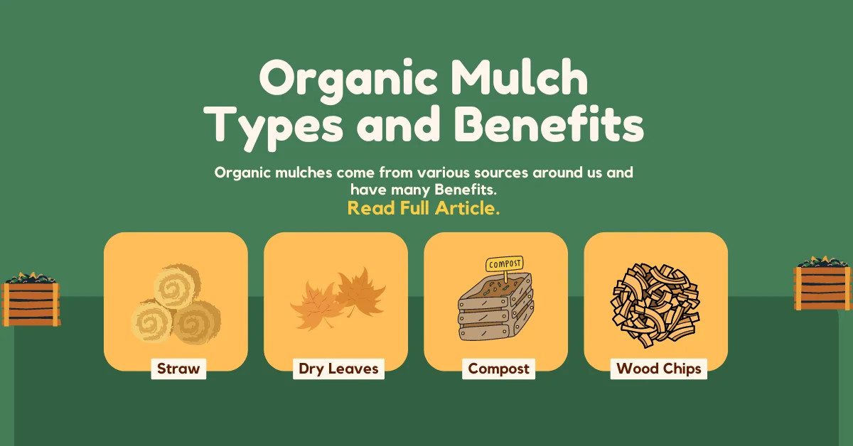 organic mulch