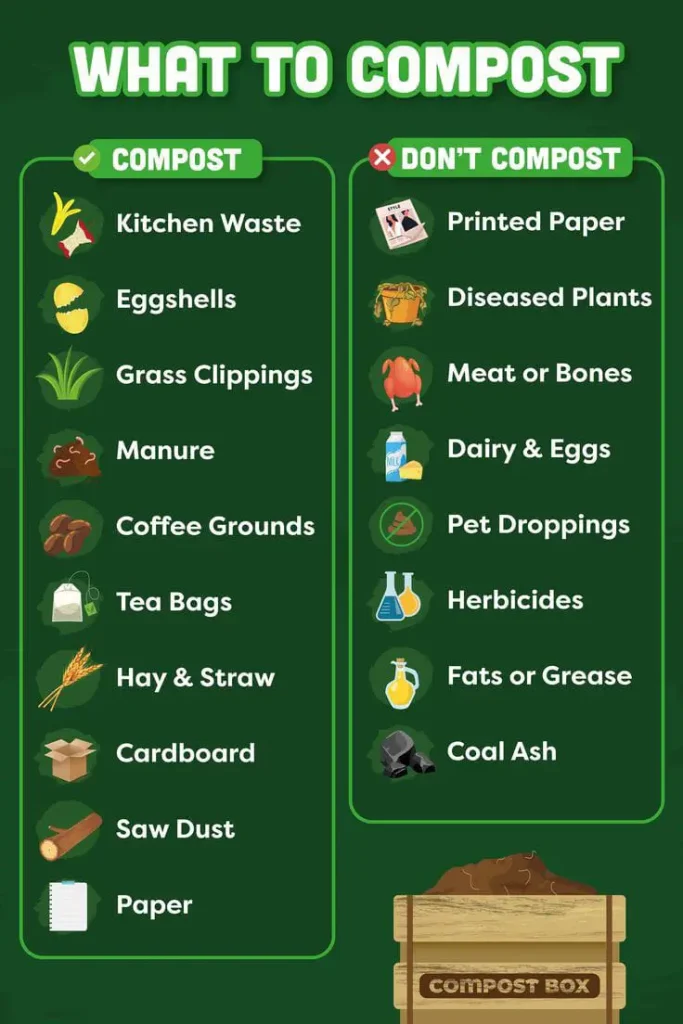 Composting for beginners