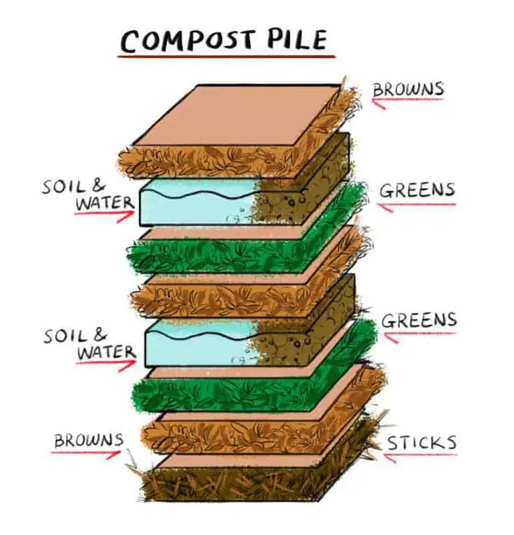 composting for beginners